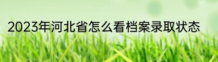 2023年河北省怎么看档案录取状态