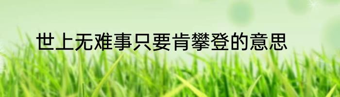 世上无难事只要肯攀登的意思