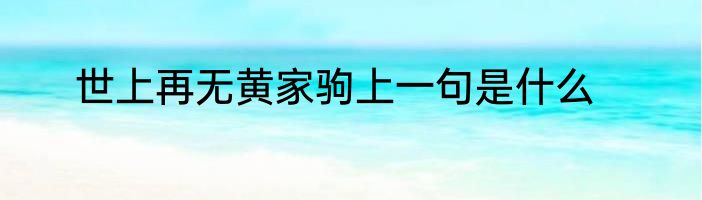 世上再无黄家驹上一句是什么