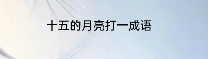 十五的月亮打一成语