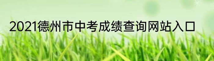 2021德州市中考成绩查询网站入口