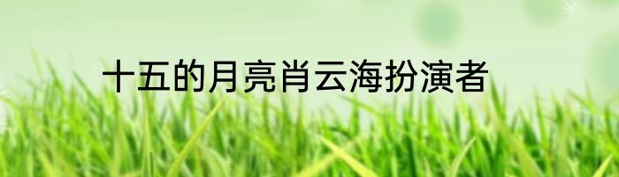十五的月亮肖云海扮演者