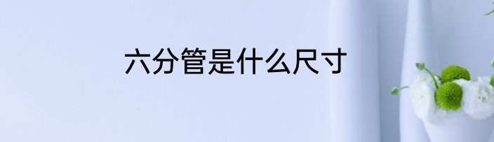 六分管是什么尺寸
