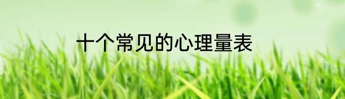 十个常见的心理量表