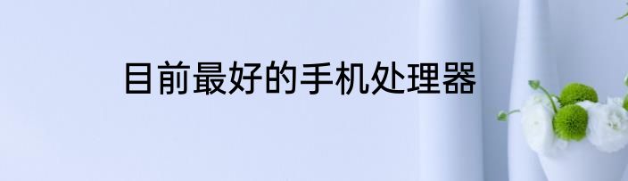 目前最好的手机处理器