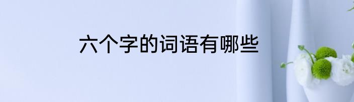 六个字的词语有哪些