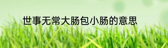 世事无常大肠包小肠的意思