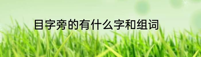 目字旁的有什么字和组词