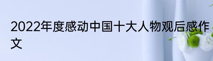 2022年度感动中国十大人物观后感作文