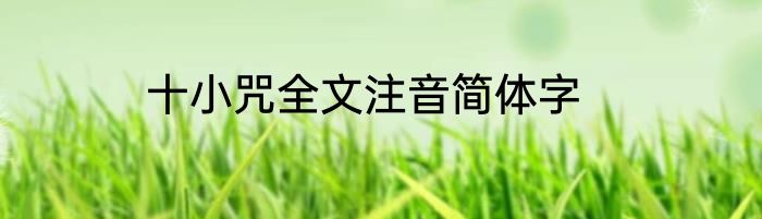 十小咒全文注音简体字