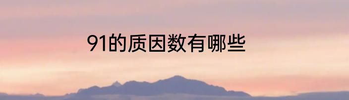 91的质因数有哪些