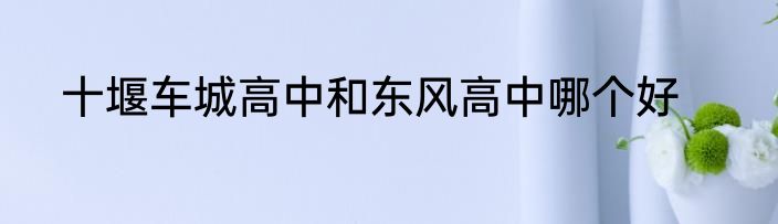 十堰车城高中和东风高中哪个好