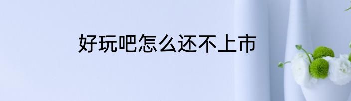 好玩吧怎么还不上市