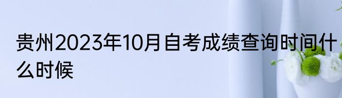 贵州2023年10月自考成绩查询时间什么时候