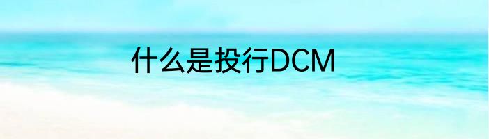 什么是投行DCM