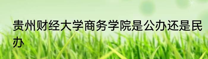 贵州财经大学商务学院是公办还是民办