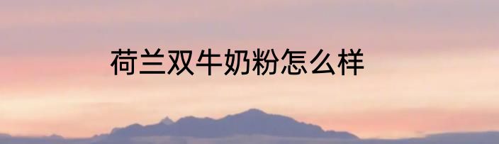 荷兰双牛奶粉怎么样