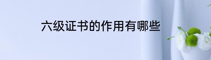 六级证书的作用有哪些