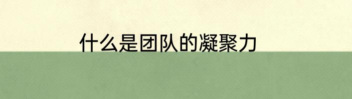 什么是团队的凝聚力