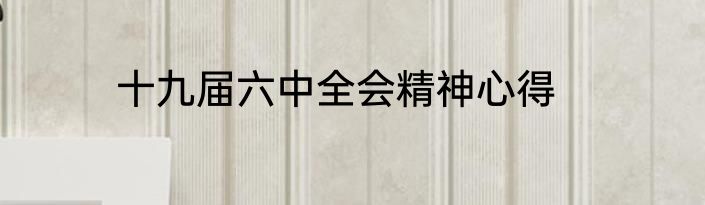 十九届六中全会精神心得