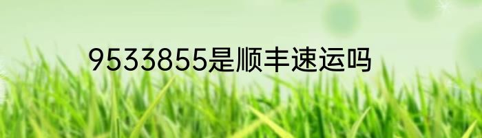 9533855是顺丰速运吗
