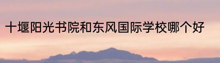 十堰阳光书院和东风国际学校哪个好