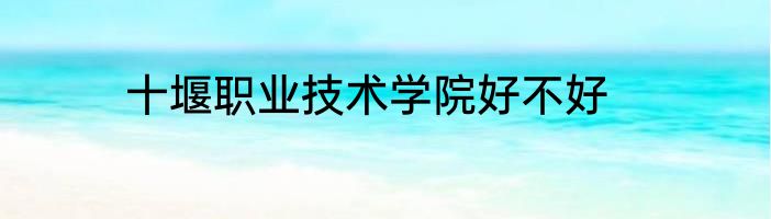 十堰职业技术学院好不好