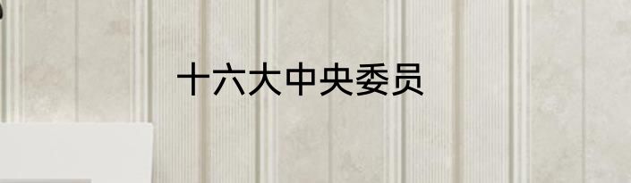 十六大中央委员