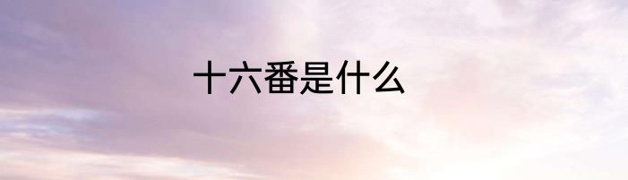 十六番是什么