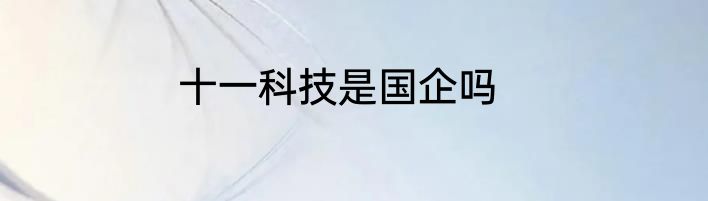 十一科技是国企吗