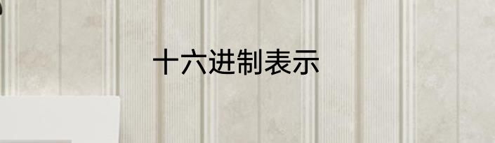 十六进制表示