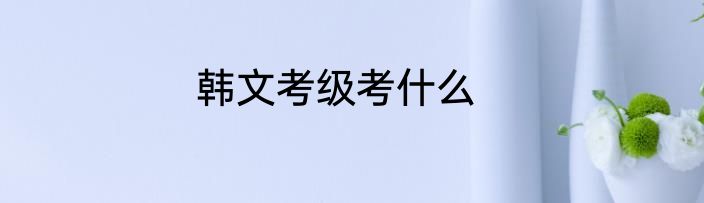 韩文考级考什么