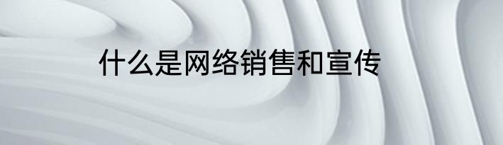 什么是网络销售和宣传