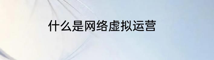 什么是网络虚拟运营