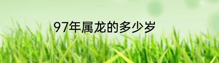 97年属龙的多少岁