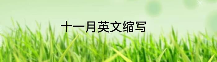 十一月英文缩写
