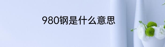 980钢是什么意思