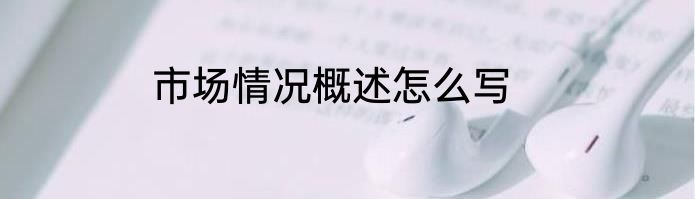 市场情况概述怎么写
