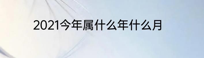 2021今年属什么年什么月