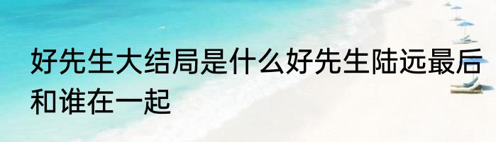 好先生大结局是什么好先生陆远最后和谁在一起