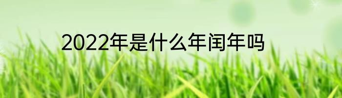 2022年是什么年闰年吗