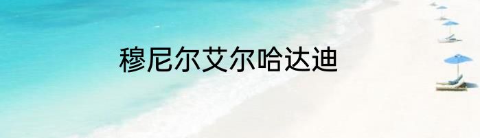 穆尼尔艾尔哈达迪