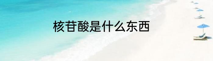 核苷酸是什么东西