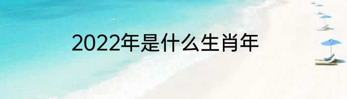 2022年是什么生肖年