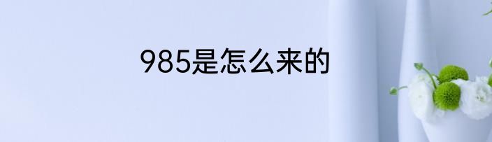 985是怎么来的
