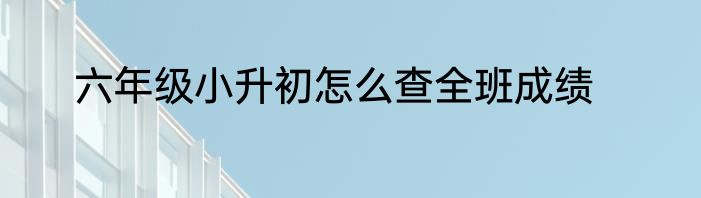 六年级小升初怎么查全班成绩