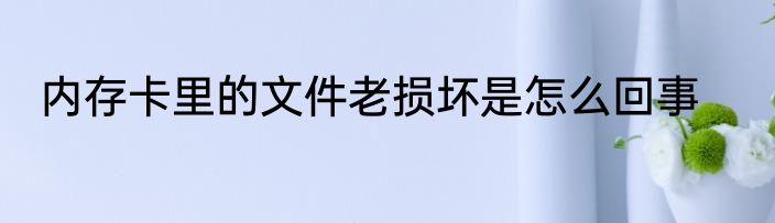 内存卡里的文件老损坏是怎么回事