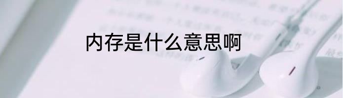 内存是什么意思啊