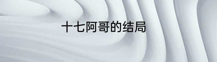 十七阿哥的结局