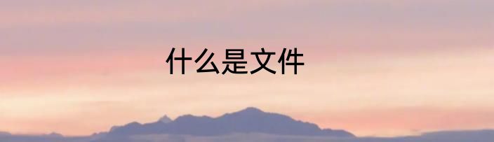 什么是文件